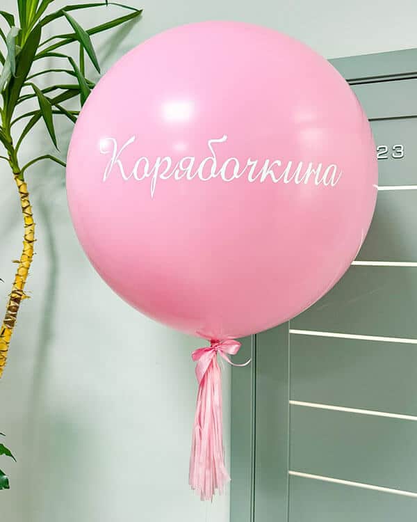IMG-20250416-WA0018